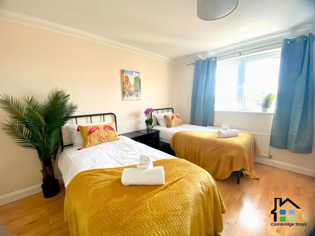 Stylish and Spacious Cambridge Apartment with Parking and Easy Access to City Attractions